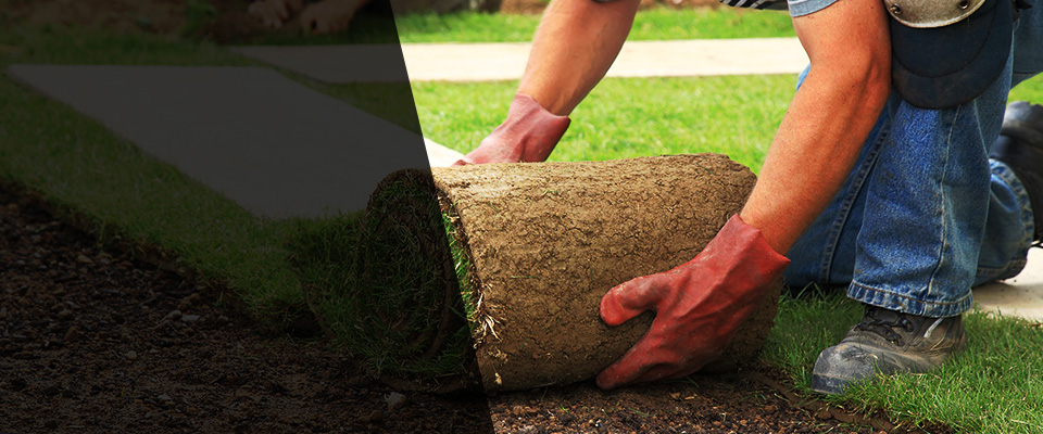 Curtis Bay Landscapers